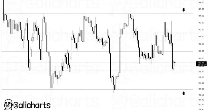 Is SOL USD Preparing for a Breakout as Solana Price Holds Above Key Support?