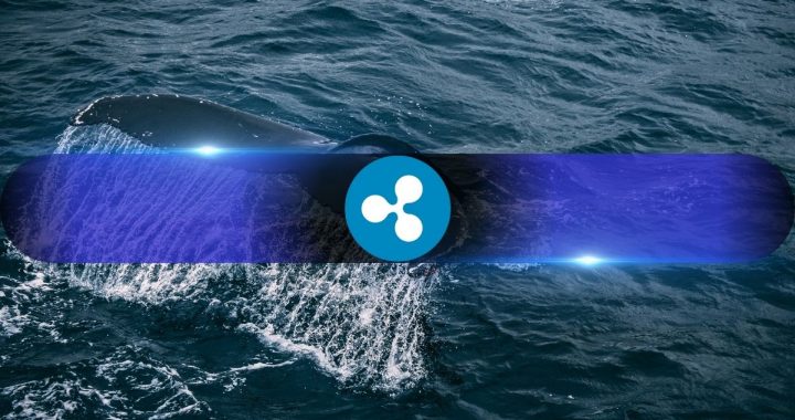 Ripple (XRP) Whales Step Up as Taker Demand Flips Bullish