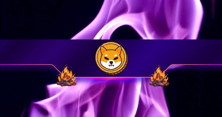 Here’s How Many Shiba Inu (SHIB) Tokens Were Burned in November