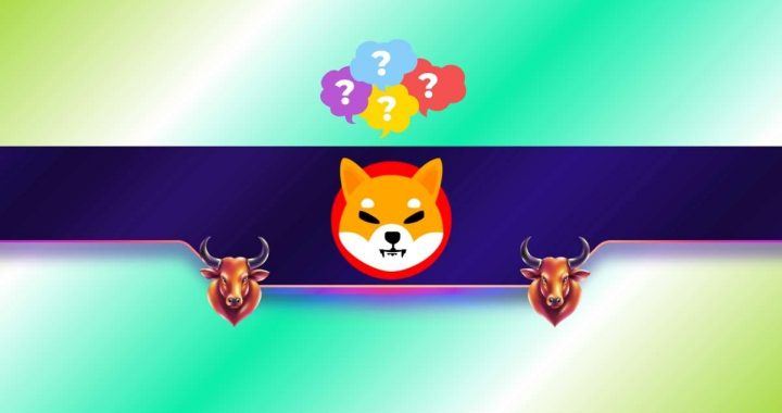 This Shiba Inu Metric Drops to a 4-Year Low: SHIB Comeback on the Way?