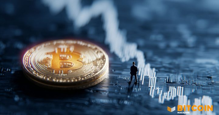 Vivek Ramaswamy’s Strive Urges MSCI to Rethink Bitcoin Index Exclusion