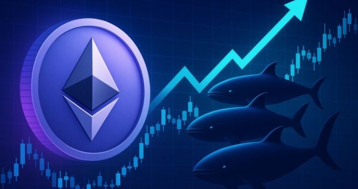 Smart Whales Align: Top Performers Go All-In On Ethereum Long Positions With Over $425M in Exposure