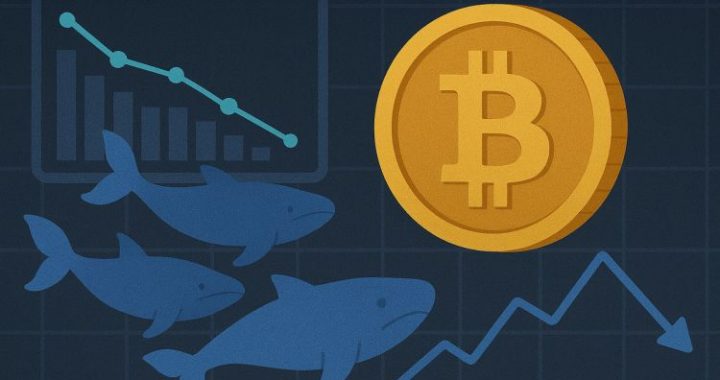 Bitcoin Whales Refuse to Sell: Historic Signal Emerges As Binance CDD Drops To 2017 Levels