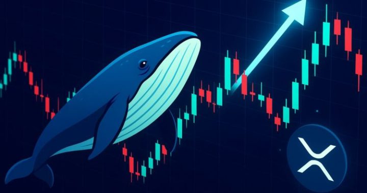 XRP Whale Activity Spikes At The Bottom – A Classic Pre-Rally Signal