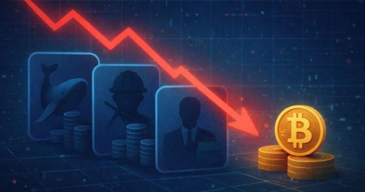 Who Really Sold The Dip? On-Chain Data Exposes Bitcoin’s True Sellers