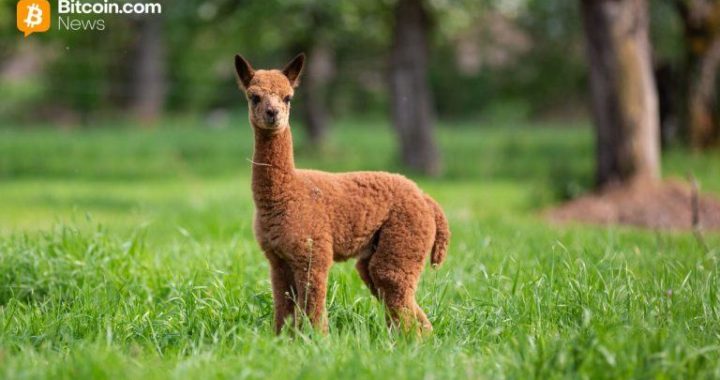 Kraken Expands Alpaca Partnership to Boost Global Tokenized Equities Adoption