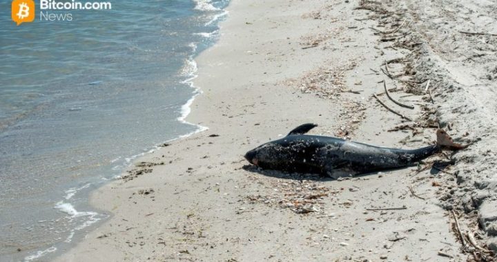 Aqua Wallet Suspends Dolphin Card Program After Provider Issue