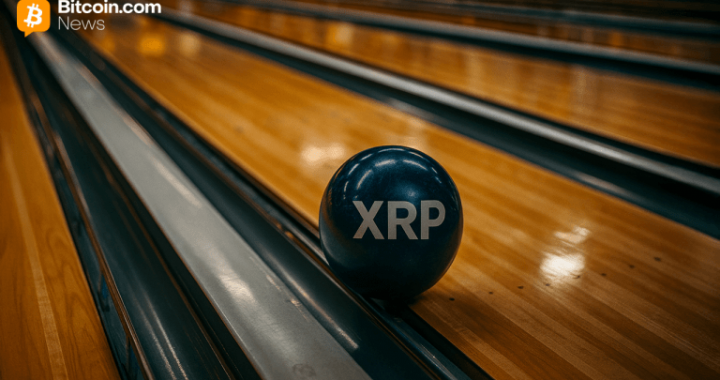 Report: Ripple Funding Round Offered Investors Protection Against XRP Volatility