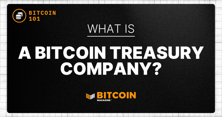 What is a Bitcoin Treasury Company?