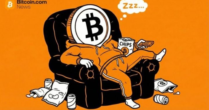 Fidelity Macro Analyst: Bitcoin Might Take a ‘Year off’ in 2026