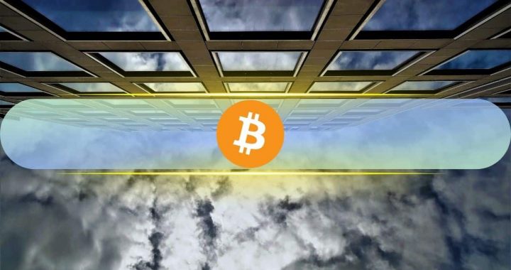 Almost One-Third of Bitcoin (BTC) Is Held by Big Players: Glassnode Finds