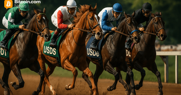 Stablecoin Sector Roars Back as Market Nears a Record Peak