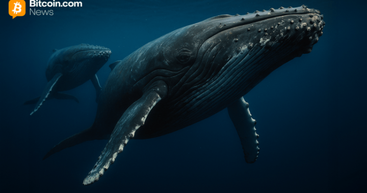 Cryptoquant: Large Holders Step Back, Bitcoin Regains Short-Term Strength