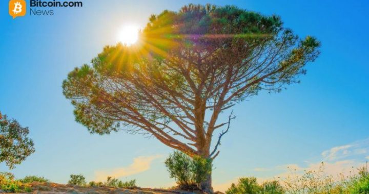 Wisdomtree Launches Tokenized Equity Options Strategy Fund for Crypto-Native Investors