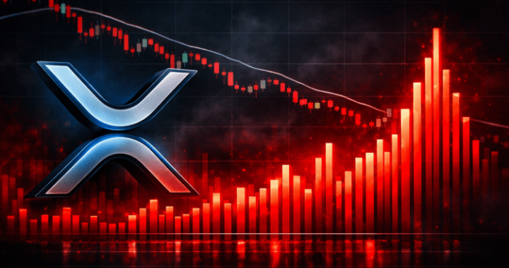 XRP Exchange Inflows Spike To End 2025: Will Price Decline Deepen?