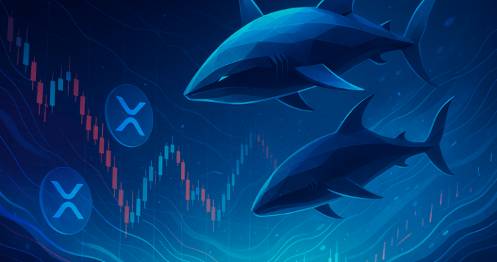 XRP Selloff: Whales Shed Coins Worth $1 Billion In A Week