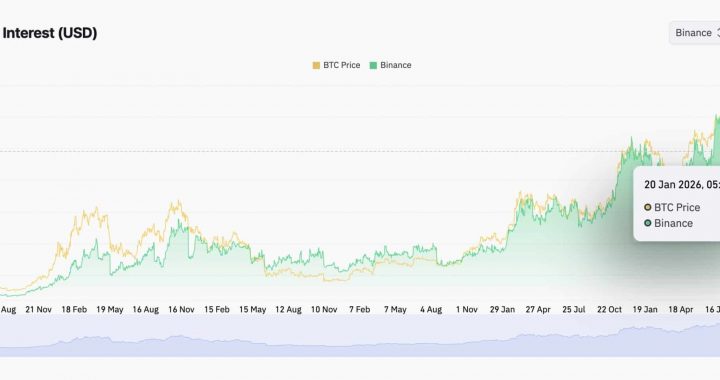 Danger Zone: Shiba Inu Must Hold This Key Level or Risk a Double-Digit Crash