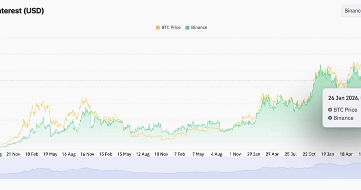 BNB Crypto Challenges $915: Slight Gains Set Stage for Major Resistance Showdown
