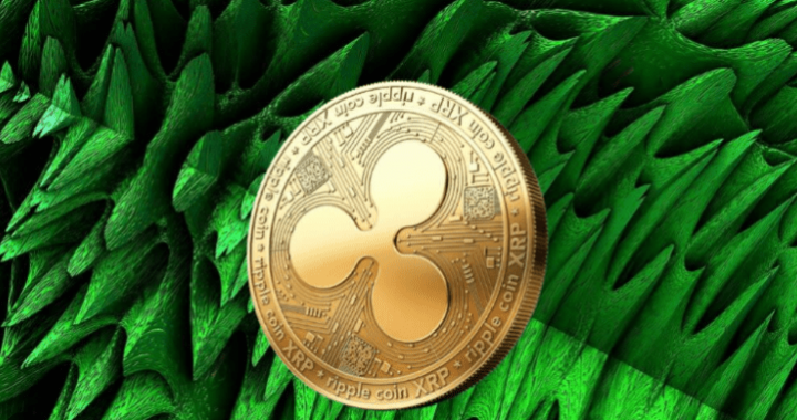 Something Big Is Brewing In XRP DeFi—And 91 Million Tokens Tell The Story