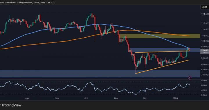 Bitcoin Price Analysis: Major Pullback or Explosive BTC Breakout Next?