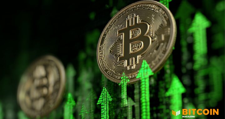Bitcoin Could Hit $2.9 Million by 2050, VanEck Says