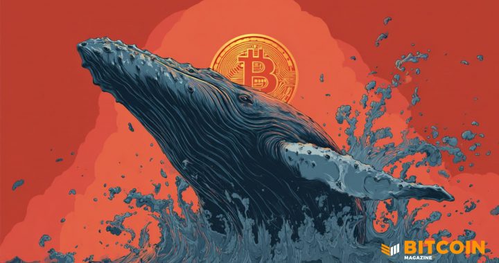 Bitcoin Whales Keep Buying as 100+ BTC Addresses Set New Record