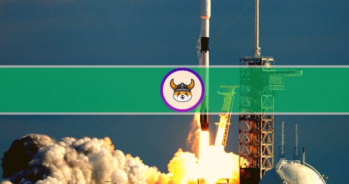 Whales Can’t Get Enough of Meme Coins as FLOKI Explodes 950%