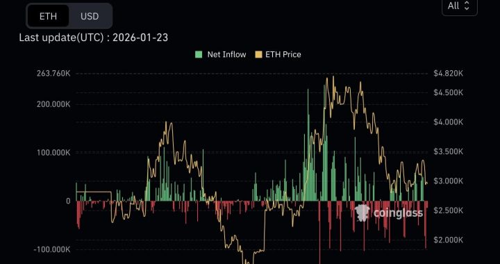 Ethereum Spot ETFs Outflows Spike as ETH Price Slumps