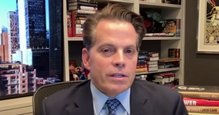 Scaramucci Picks His Top 3 Crypto Altcoins As Rate-Cut Tailwinds Build
