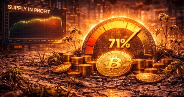 Bitcoin Supply In Profit Stalls At 71%: Still Not Enough For A Sustainable Recovery