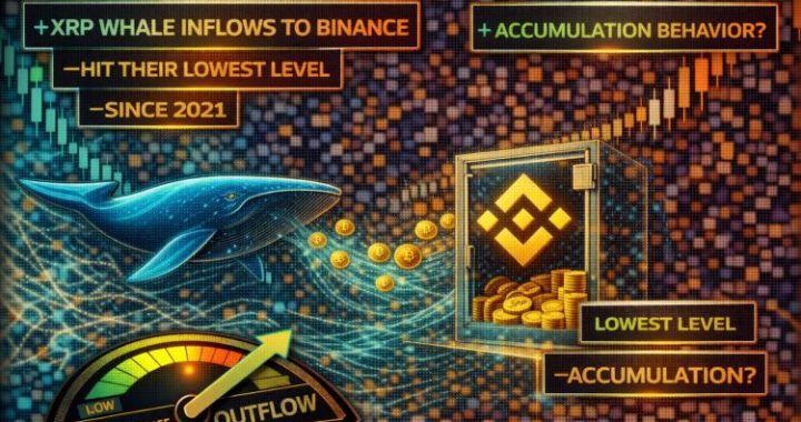 XRP Whale Inflows To Binance Hit Their Lowest Level Since 2021: Accumulation Behavior?
