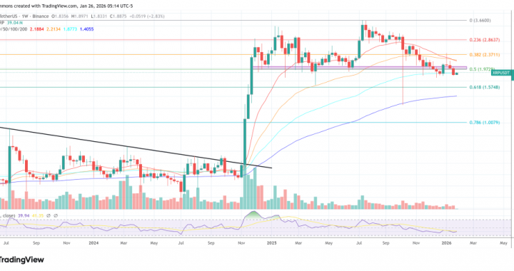 XRP Ledger Congestion Could Burn 1 Billion Coins A Year, Developer Claims
