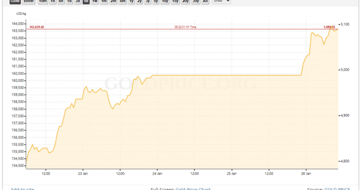Gold Hits Record $5K While Bitcoin Struggles To Keep Pace