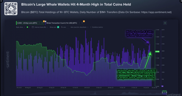 Bitcoin Whales Are Back: 104K BTC Added As $1M Transfers Surge