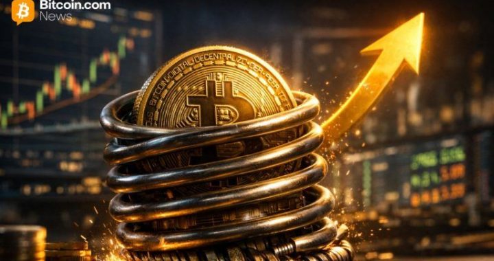 Ark’s Cathie Wood: Bitcoin’s Calm Is Misread as ‘Coiled Spring’ Economy Prepares to Snap
