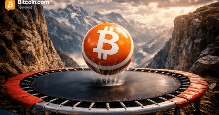 $91K Bitcoin Faces Judgment Day: Bounce or Breakdown?