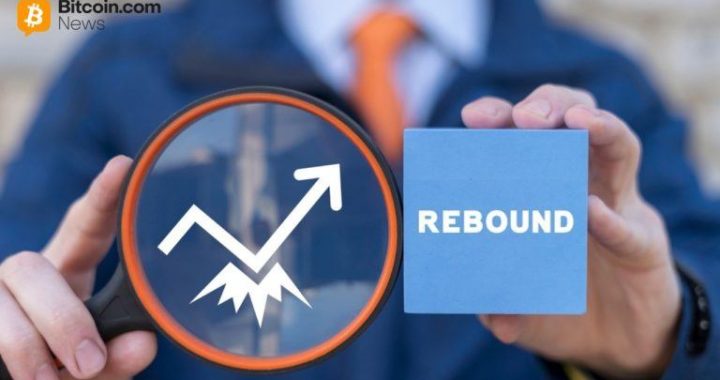 Crypto ETFs Turn Green as Bitcoin Rebounds With $117 Million Inflow