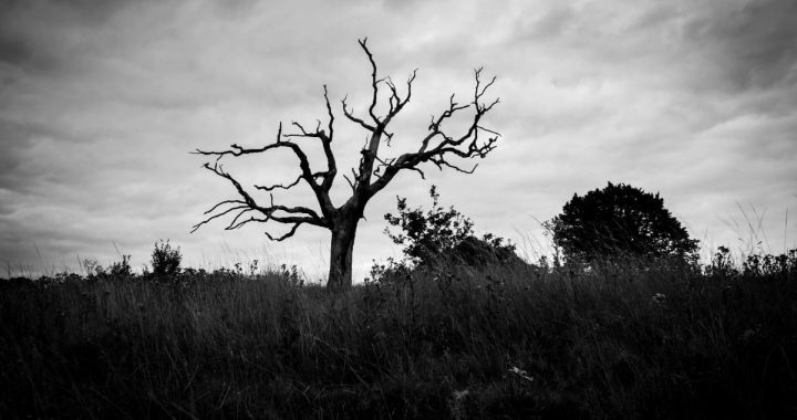 Over Half of All Crypto Tokens Are Now Dead: CoinGecko