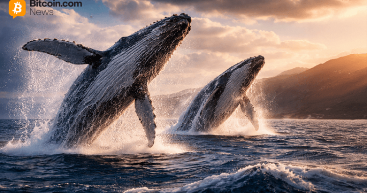 Some of Bitcoin’s Oldest Wallets Drove Dormant Spending Patterns in 2025