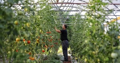 Canaan launches pilot converting Bitcoin mining heat to power greenhouse heating