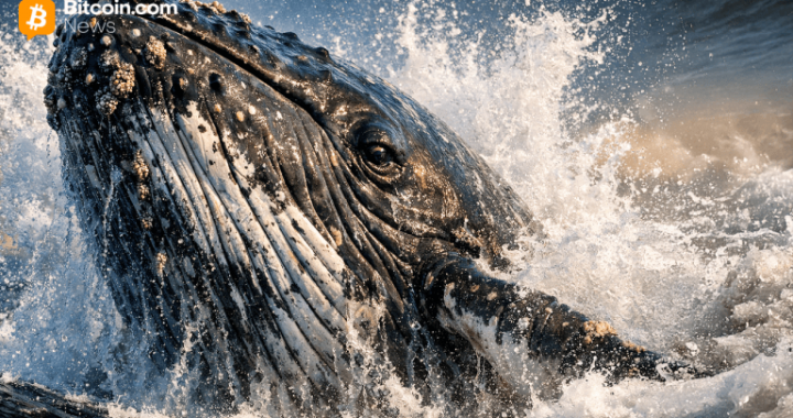 2016-Era Bitcoin Whale Suddenly Shifts 1,087 BTC in Onchain Awakening