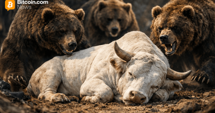 Bitcoin Price Rejection Drama: Will the $84K Safety Net Hold?