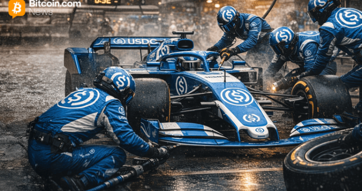 Stablecoin Market Takes a Breather After December’s $310B Peak