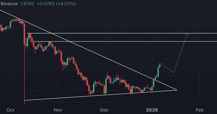 Sui Crypto Surges 30% in a Week: Could This Be the Chain of the Cycle?