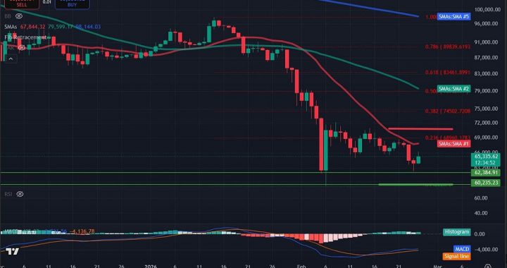 Bitcoin Price Analysis: BTC Reclaims $65,000 But Low Volume Raises Concerns