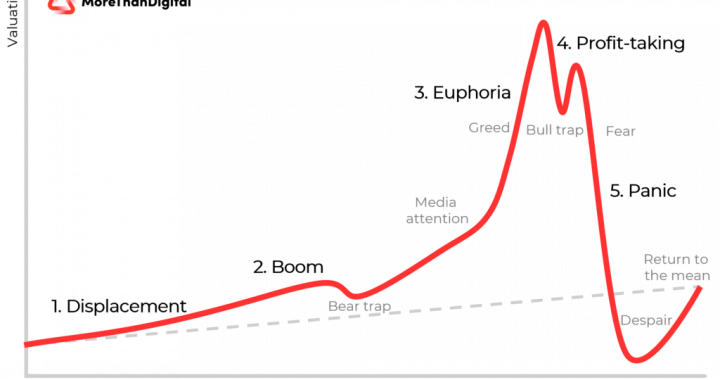 Crypto, Bubbles, and The Coming Agent Economy