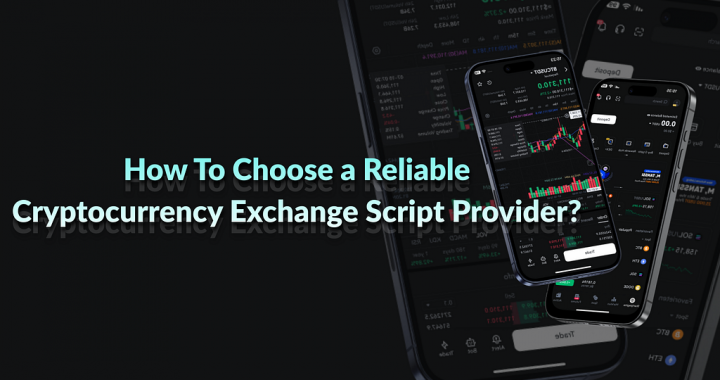 How To Choose a Reliable Cryptocurrency Exchange Script Provider?