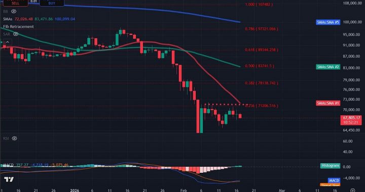 Bitcoin Price Analysis: BTC Tethered At $68,000 As Altcoins Lead Market Recovery