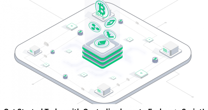 Centralized Exchange Script The Smart Way to Start a Crypto Exchange Platform