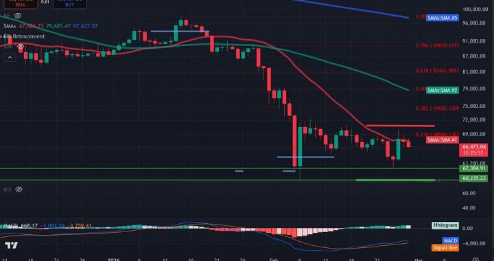 Bitcoin Price Analysis: BTC Bounce Loses Momentum As Risk-Off Sentiment Persists